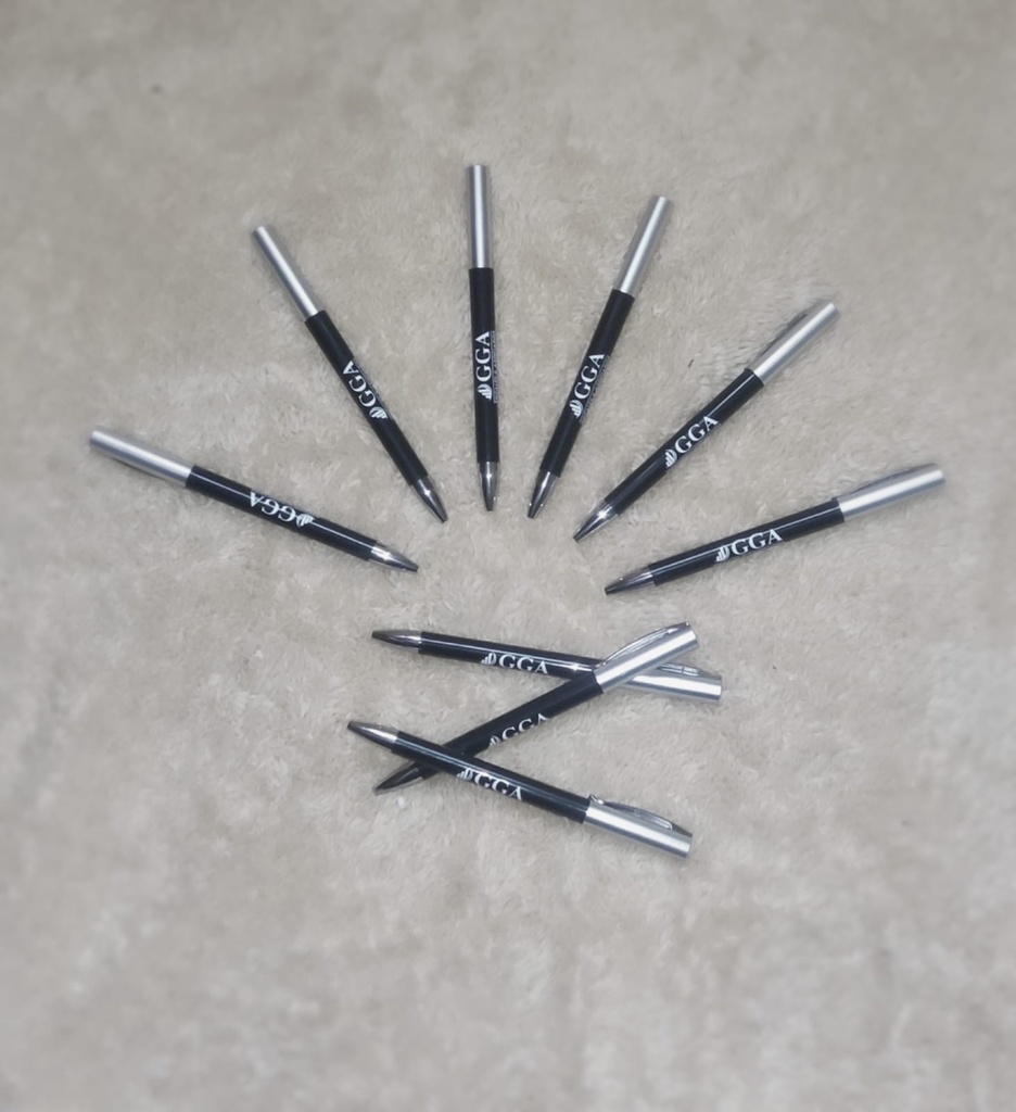 BOLIGRAFO PLASTICO VALDIVIA