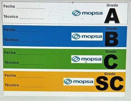 WhatsApp Image 2025-03-26 at 12.34.24 PM.webp