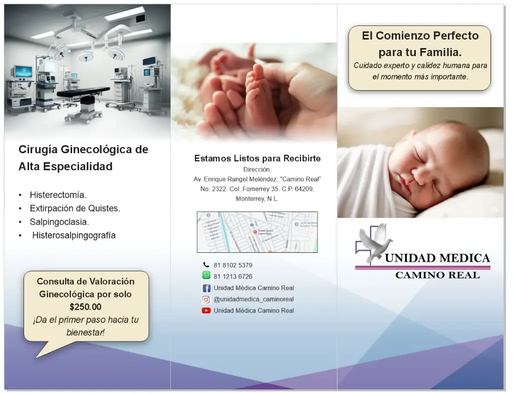 Impresión folletos trípticos carta (1 Millar)